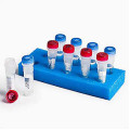 Quanti-Cult Plus Staphylococcus aureus ATCC® 6538P