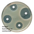 Streptomicina S300 Streptomicina S300