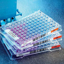 Placas Sensititre Yeast One para CIM de Levaduras para 2 Aislamientos YO2IVD Placas Sensititre Yeast One para CIM de Levaduras para 2 Aislamientos YO2IVD